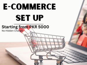 e-commerce setup